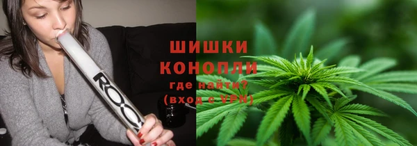шишки Бронницы
