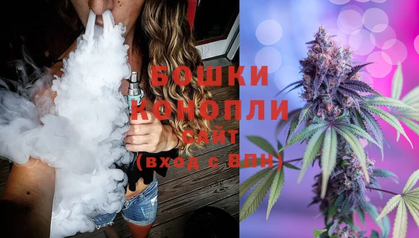 шишки Бронницы