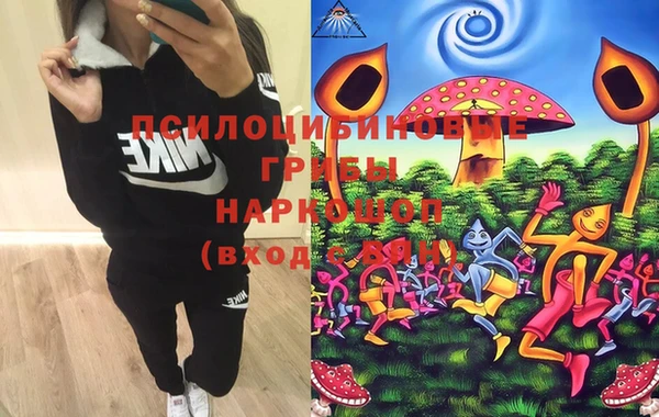 spice Бородино